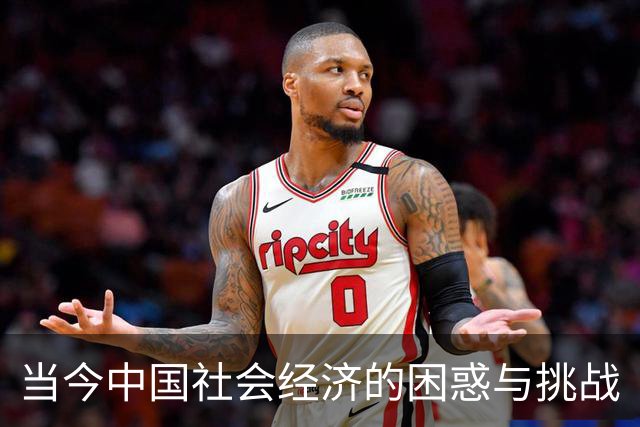 当今中国社会经济的困惑与挑战
